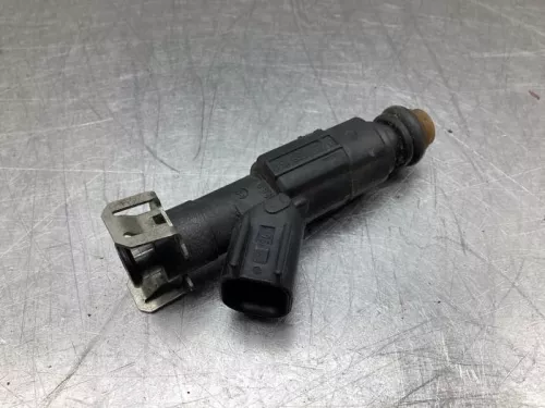 Injector (benzine injectie)- (21868525)