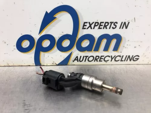 Injector (benzine injectie)-8171859 (20506504)