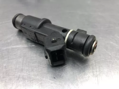 Injector (benzine injectie)-8221899 (21197244)