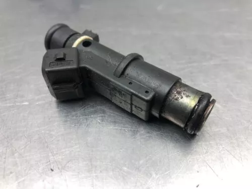 Injector (benzine injectie)-8221899 (21197244)
