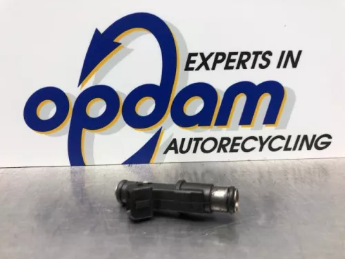 Injector (benzine injectie)-8221899 (21197244)