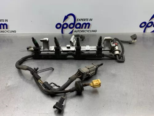 Injector (benzine injectie)-8220831 (21099821)