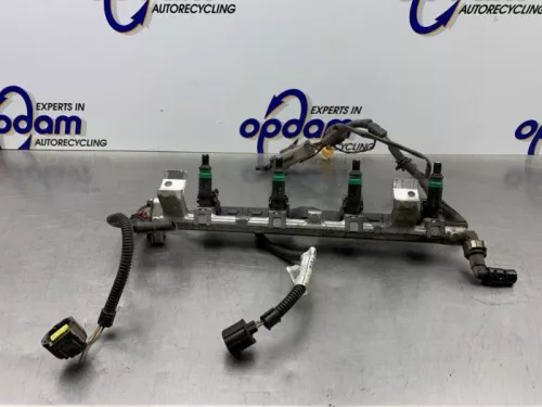 Injector (benzine injectie)-8220831 (21099821)
