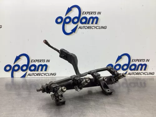 Injector (benzine injectie)-8031550 (18683764)
