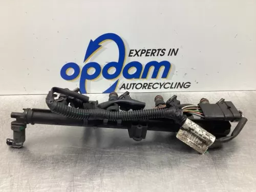 Injector (benzine injectie)-7926255 (17639554)