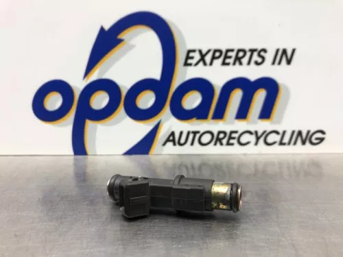 Injector (benzine injectie)-8211352 (21167814)