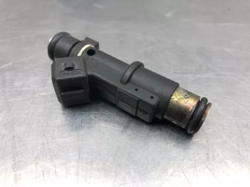 Injector (benzine injectie)-8211352 (21167814)