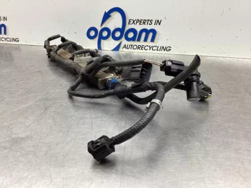 Injector (benzine injectie)-8078726 (19218509)