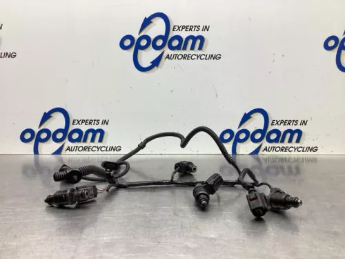 Injector (benzine injectie)-8036192 (19234381)