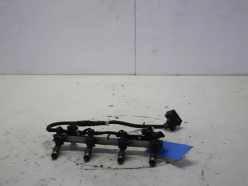 Injector (benzine injectie)- (10390023)