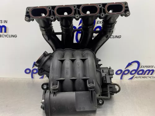 Inlaatspruitstuk-8191090