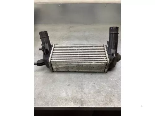 Intercooler-8073289 (20819748)