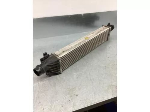 Intercooler-7387287 (16924228)