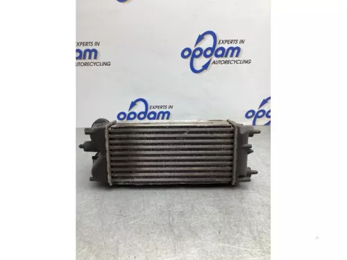 Intercooler-8138770 (20958774)