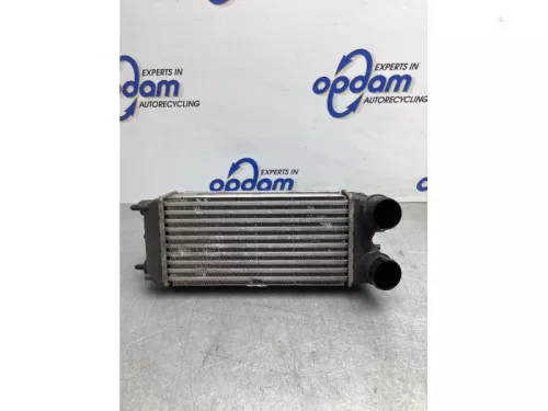 Intercooler-8138770 (20958774)
