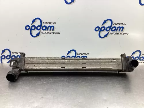 Intercooler-8081229 (19403793)