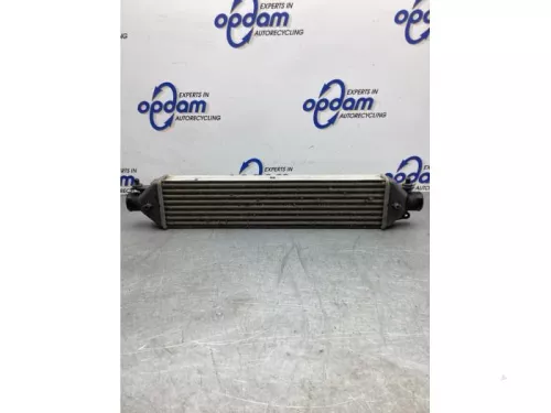 Intercooler-8201400 (21042572)