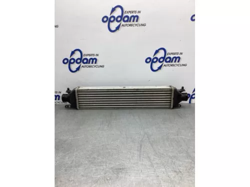 Intercooler-8201400 (21042572)