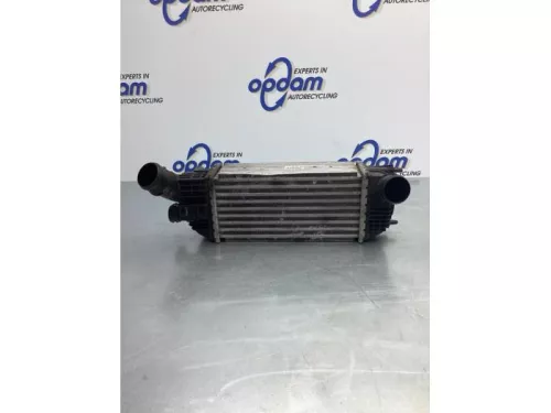 Intercooler-6921054 (16944041)