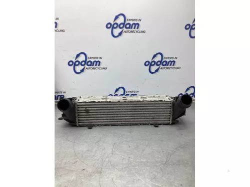 Intercooler-8059099 (21380898)