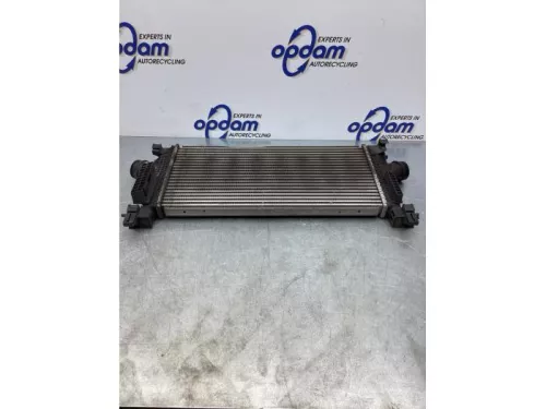 Intercooler-7613120 (17216060)
