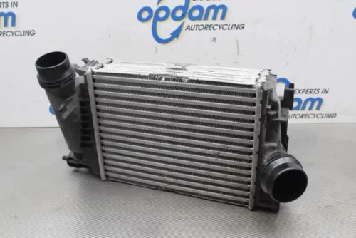 Intercooler- (20765166)
