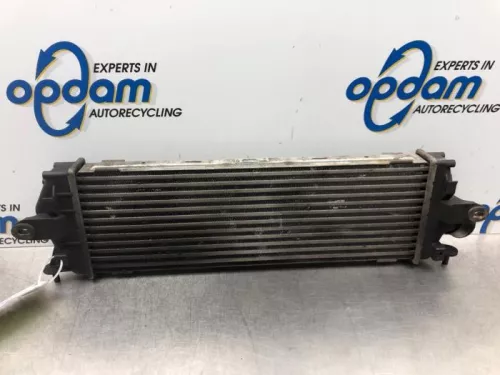 Intercooler- (16550293)