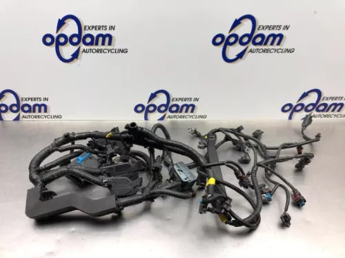 Kabelboom motorruimte-8079069 (21766334)