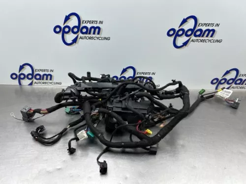 Kabelboom motorruimte-8079069 (21766334)