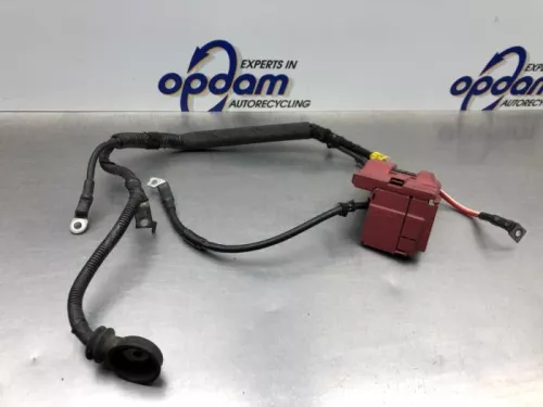 Kabelboom motorruimte-8079069 (21766334)