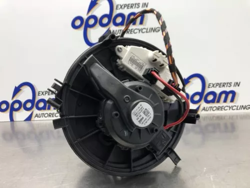 Kachel Ventilatiemotor-6921457 (20770841)