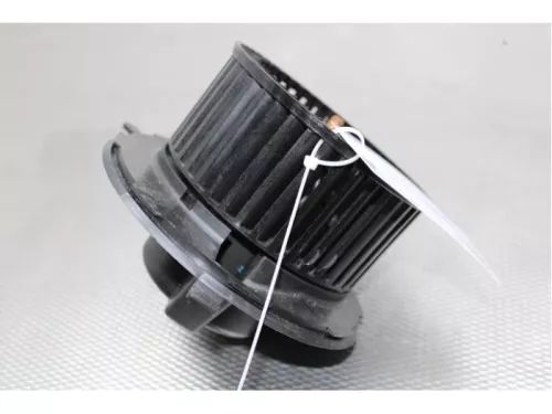 Kachel Ventilatiemotor-7716617 (13653912)